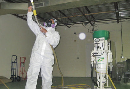 Frequently Asked Questions About Mold Remediation In Albany