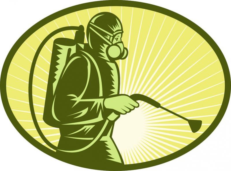Thing To Take In Consideration While Choosing Best Exterminator In New York