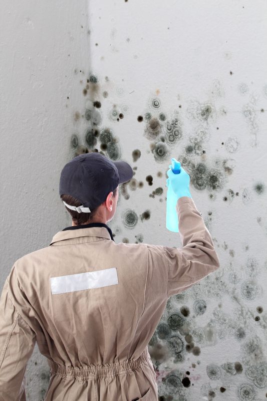 Mold Damage Restoration In Colorado Springs Should Be Performed After A Large Water Event