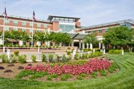 Why Drought Tolerant Plants Are Best for Your Landscape