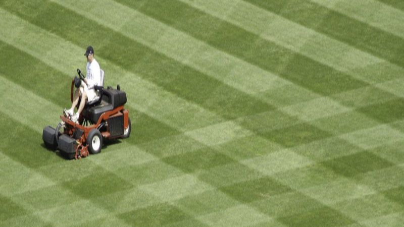 The Most Popular Trends In Residential Landscaping in Morristown NJ