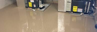 Options For An Epoxy Floor in A Nashville Business