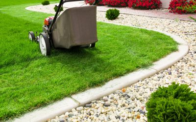 Create a Relaxing Outdoor Haven With Professional Landscaping Planting Barrington IL