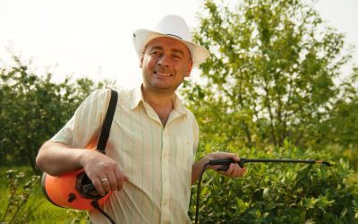 Achieve a Perfect Yard with Lawn Mowing Twin Cities – Services Designed for Busy Homeowners